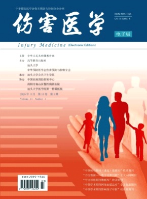 伤害医学(电子版)杂志